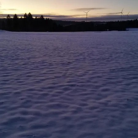Im Zentrum Von Villingen-schwarzwald, Nahe Bahn-bus Villingen-Schwenningen