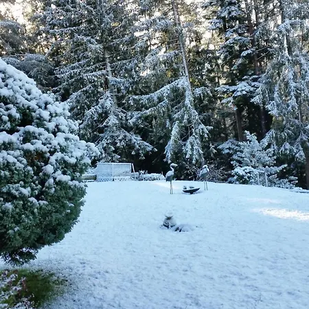 Im Zentrum Von Villingen-schwarzwald, Nahe Bahn-bus * Villingen-Schwenningen