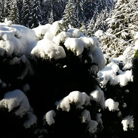 Im Zentrum Von Villingen-schwarzwald, Nahe Bahn-bus Apartmán *
