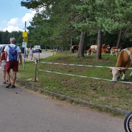 Im Zentrum Von Villingen-schwarzwald, Nahe Bahn-bus Apartmán *