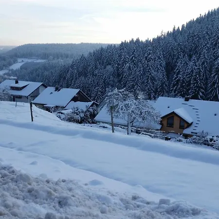 Apartmán Im Zentrum Von Villingen-schwarzwald, Nahe Bahn-bus