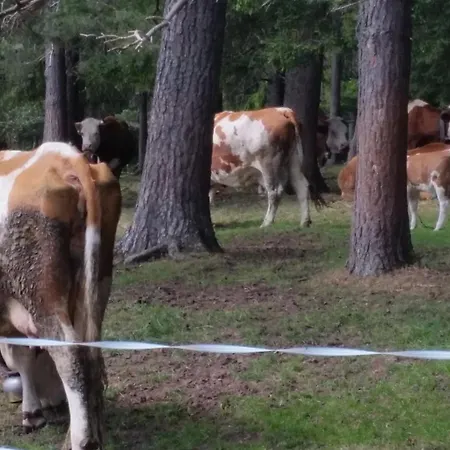 Apartmán Im Zentrum Von Villingen-schwarzwald, Nahe Bahn-bus
